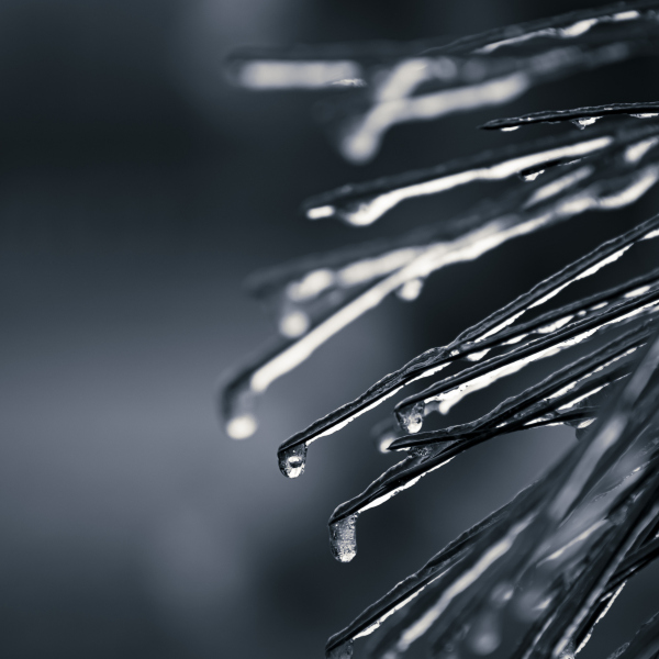 1_MG_1786-HDR