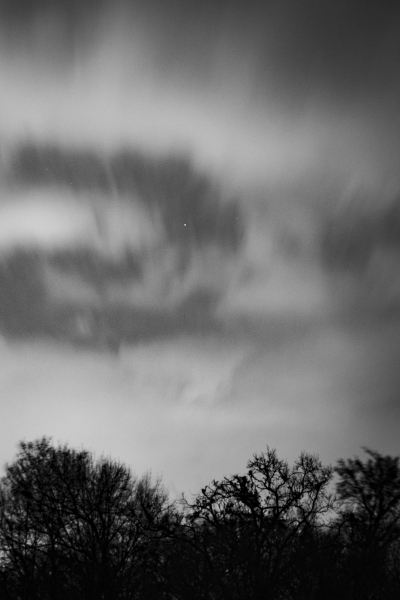 MG_2452